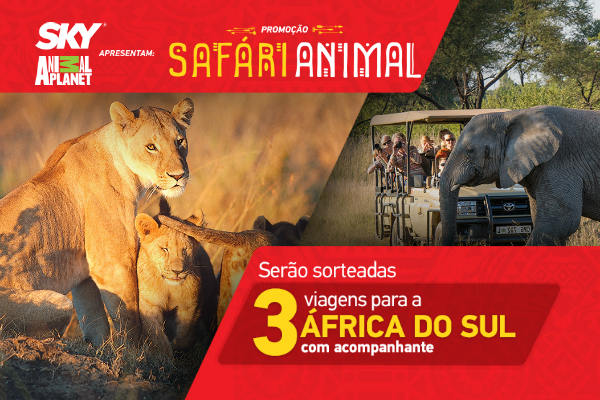 promoção safári animal